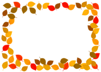 Frame of pale fallen leaves