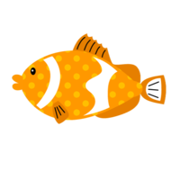 Polka dot clownfish