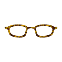 Tortoiseshell frame glasses