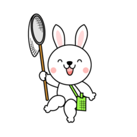 Rabbit to catch insects