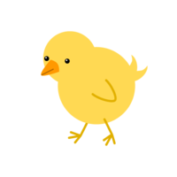 Walking chick