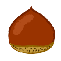 Chestnut with rough touch