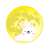 Rabbit of the full moon