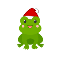 Frog in Santa hat