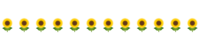 Sunflower line-line