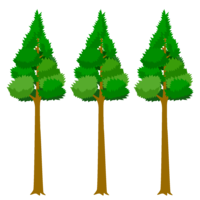 Hayashi