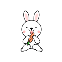 Rabbit eating carrots