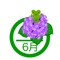 June mark of hydrangea and frog