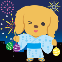 Golden-Animal retriever (dog) looking up at the night sky at a fireworks display