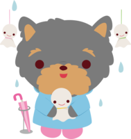 约克夏特里亚(狗)梅雨伞动物