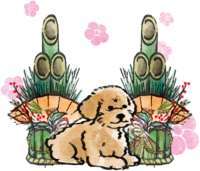 Year of the Dog-Toy Poodle Japanese Style (Kadomatsu) 2018 Zodiac Illustration-Looking Sideways