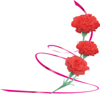おしゃれ綺麗カーネーションイラスト(右側飾りリボン