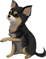 奇瓦瓦瓦(狗)的写实手绘风格