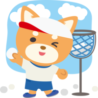 柴犬运动会(白组玉盒)动物