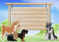Background that guides the dogs and the signboard of the meadow