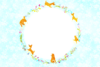 Background of Shiba Inu Flower Circle
