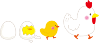 2017 Zodiac that evolved into bipedal walking of chicks and chickens