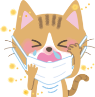 Cat hay fever-Illustration (mask-sneezing-snot-itching eyes)