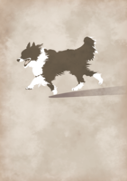 Dog border-Collie silhouette) Fashionable 2018 (Dog) Background (Vertical)