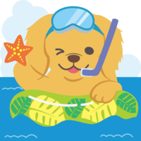 Golden-Retriever (dog) Sea opening-Cute animal