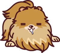 Pomeranian sleeping (sleeping) Greeting dog