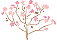 Sakura-Spring background illustration (Japanese style)