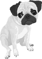 Pug's black and white monochrome and cool dog