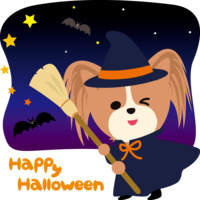 Halloween (Witch Happy-Halloween) Papillon (dog) cute animal