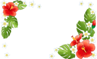 Hawaiian-style flowers and leaves-frame material-decorative frame background