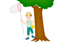 Boy catching insects