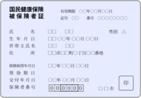 Insurance card