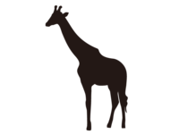 Giraffe silhouette