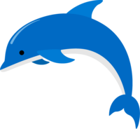 Dolphin