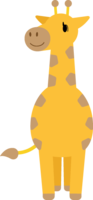 Cute giraffe