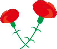 Mother's Day-Two-wheeled carnation