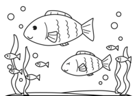 Coloring of cute fish swimming in the sea (line art)