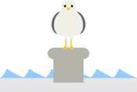 停在防波堤上的海鸥