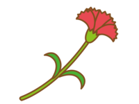 Simple red carnation