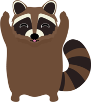 Banzai raccoon
