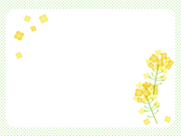 Rape blossoms and yellow-green polka dot square frame Decorative frame