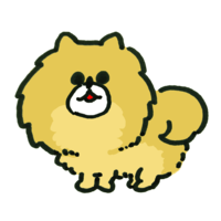 Pomeranian