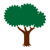 Solid wood