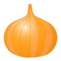Onion