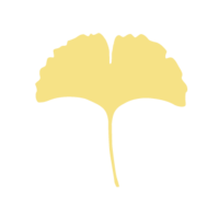 Ginkgo leaf