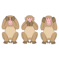 Shin-3 (I have to see, I have to say, I have to ask)