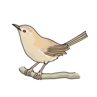 Uguisu