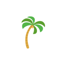 Palm