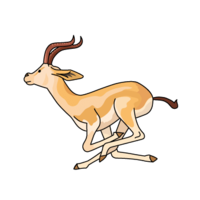 Impala