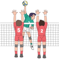Volleyball
