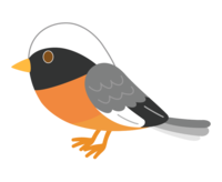 Cute Daurian Redstart
